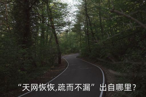 天網恢恢疏而不漏,天網恢恢，疏而不漏出處:《老子》