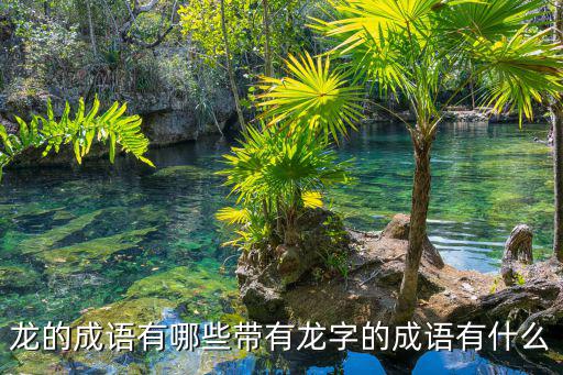 帶龍字的成語,中國的龍爭虎斗