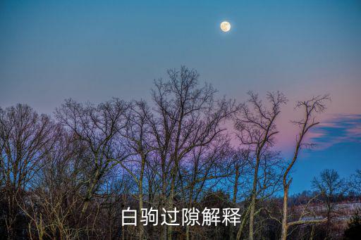 白駒過隙解釋