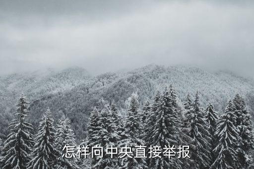 怎樣向中央直接舉報