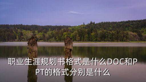 職業(yè)生涯規(guī)劃書格式,職業(yè)生涯規(guī)劃書格式有哪兩種?