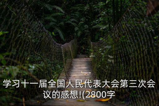 學習十一屆全國人民代表大會第三次會議的感想!(2800字