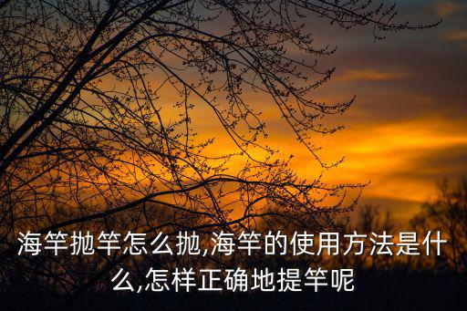 海竿的使用方法,怎么用海竿劈投釣魚?注意事項有哪些?