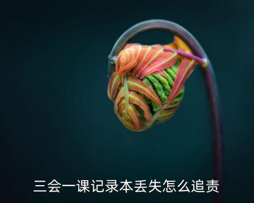 三會一課記錄,三會一課記錄本丟了怎么辦?可以重寫嗎?
