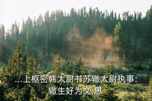 ...上樞密韓太尉書蘇轍太尉執事:轍生好為文,思