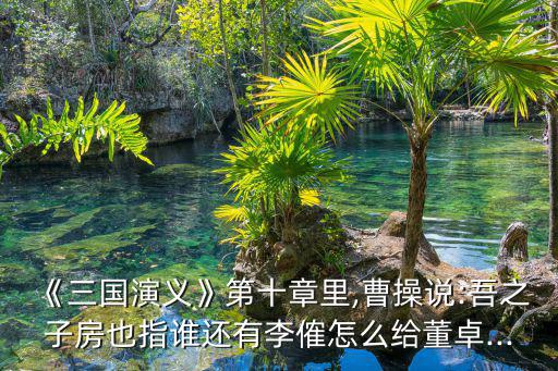 子房是誰,張良字子房其先姓姬氏