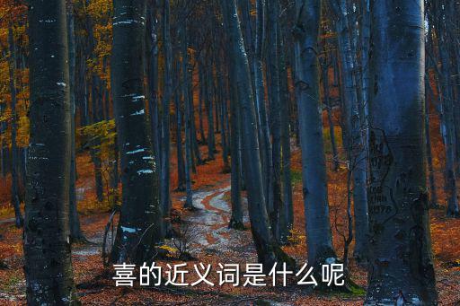 喜的近義詞是什么呢