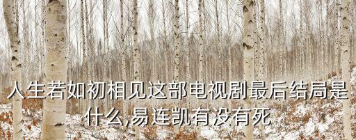 人生若如初相見這部電視劇最后結局是什么,易連凱有沒有死