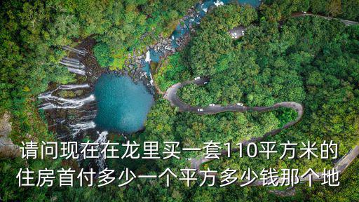 請問現(xiàn)在在龍里買一套110平方米的住房首付多少一個平方多少錢那個地