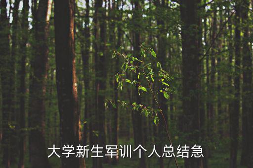 大學新生軍訓個人總結急