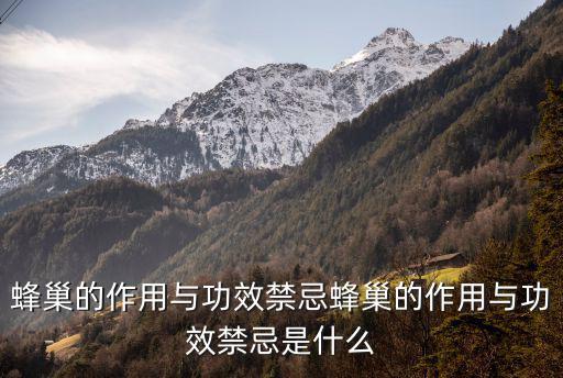 果馬蜂,蜂巢知多少?問與答（19）