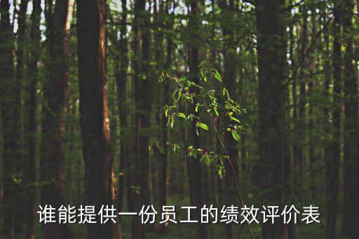 誰能提供一份員工的績效評價表