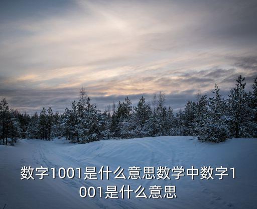 數字1001是什么意思數學中數字1001是什么意思