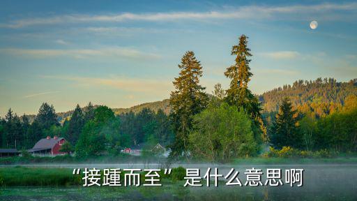 “接踵而至”是什么意思啊