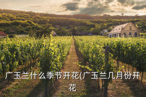 廣玉蘭花,關于廣玉蘭你必須知道的5件事