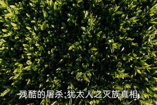 屠殺猶太人,希特勒屠殺猶太人的真相是什么?