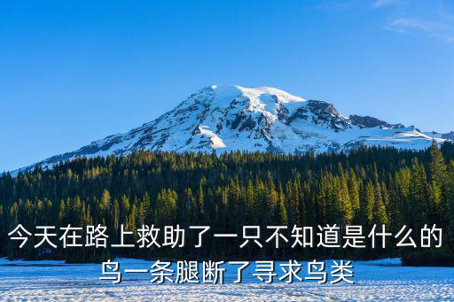 上海市保護鳥類的電話，上海 撿到野生動物怎么處理這個是什么鳥交給相關(guān)部門是什么部門