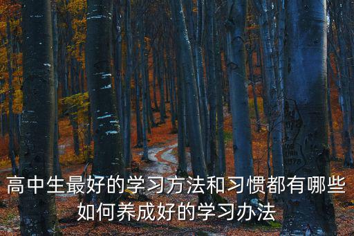 高中生學習方法,高中生應該怎樣學習?