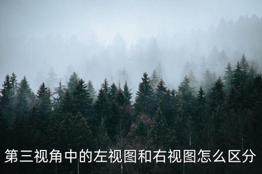 第三視角中的左視圖和右視圖怎么區分