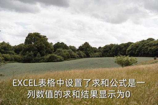 EXCEL表格中設(shè)置了求和公式是一列數(shù)值的求和結(jié)果顯示為0