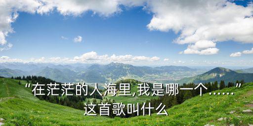 不能忘記我,不會(huì)忘記我!作文開頭怎么寫?
