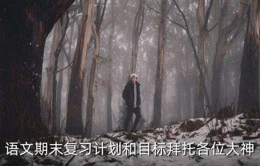 語文期末復習計劃和目標拜托各位大神