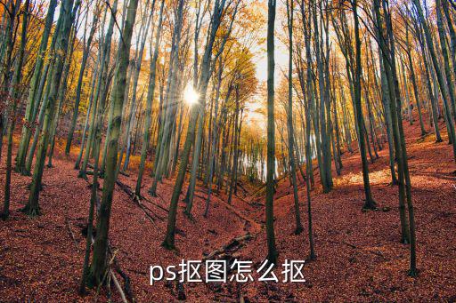 ps魔棒工具怎么摳圖,手機版ps怎么摳圖?