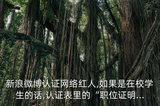 新浪微博認證網絡紅人,如果是在校學生的話,認證表里的“職位證明...