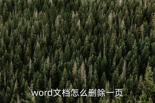 word怎么刪頁,怎么從word文檔中刪除一整頁?