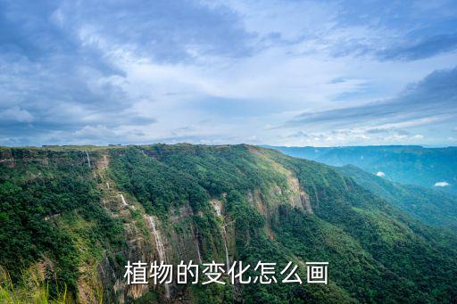 植物的變化怎么畫