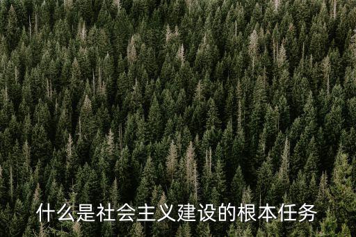 什么是社會主義建設的根本任務