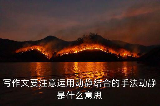 動靜的意思,靜動等觀】什么是靜動結合?