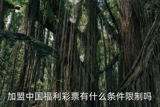 中國(guó)福利彩票加盟,中國(guó)福利彩票安徽加盟如何申請(qǐng)?