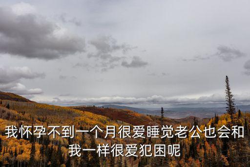 我懷孕不到一個月很愛睡覺老公也會和我一樣很愛犯困呢