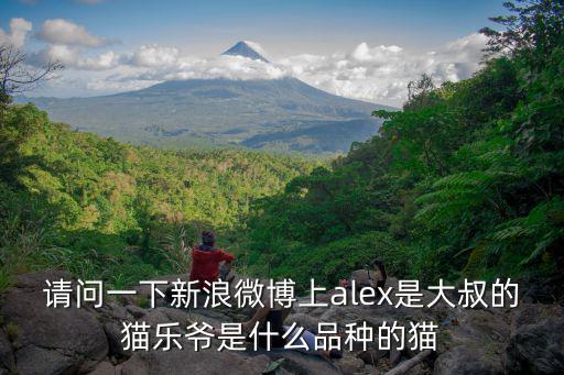 大叔微博,如何避免成為油膩的中年漢?