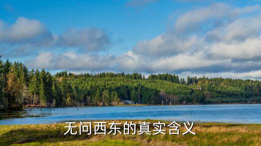 不問西東,《無問西東》取自清華校歌的真實含義