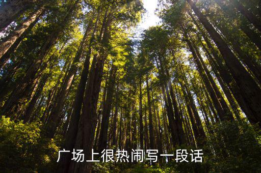廣場上很熱鬧寫一段話