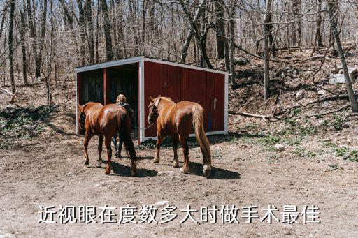 近視眼在度數(shù)多大時(shí)做手術(shù)最佳