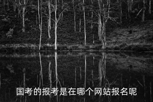 國考的報考是在哪個網站報名呢
