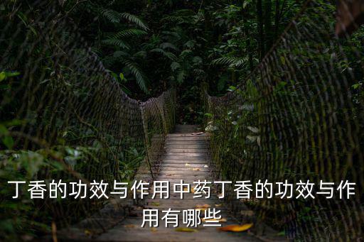 丁香的功效與作用中藥丁香的功效與作用有哪些