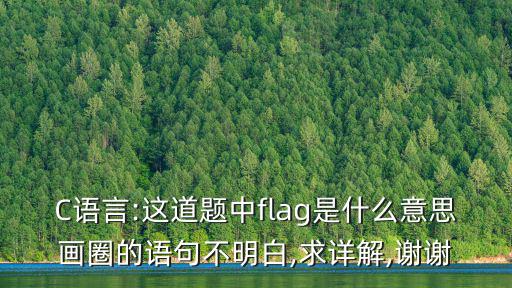 C語(yǔ)言:這道題中flag是什么意思畫(huà)圈的語(yǔ)句不明白,求詳解,謝謝