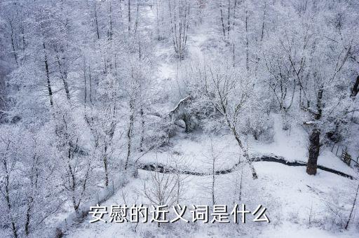 安慰的近義詞是什么