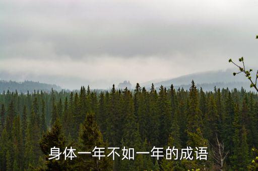 身體一年不如一年的成語