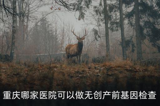 重慶市婦幼產前診斷，產前診斷中心