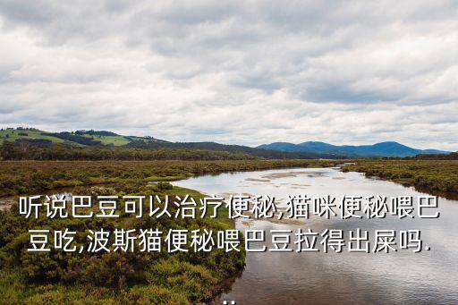 聽說巴豆可以治療便秘,貓咪便秘喂巴豆吃,波斯貓便秘喂巴豆拉得出屎嗎...