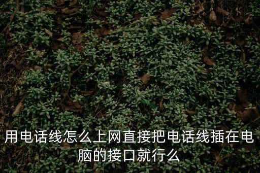 用電話線怎么上網(wǎng)直接把電話線插在電腦的接口就行么