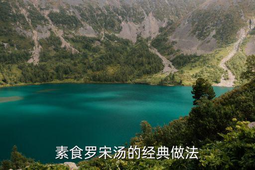 羅宋湯的家庭簡單做法,羅宋湯怎么做好喝?