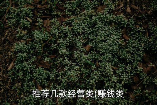 推薦幾款經營類(賺錢類