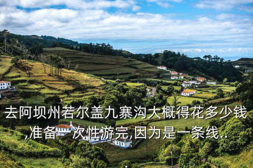 去阿壩州若爾蓋九寨溝大概得花多少錢,準備一次性游完,因為是一條線...