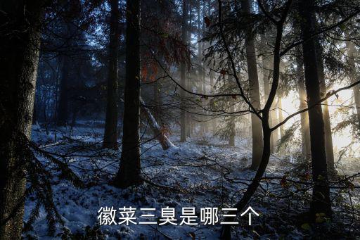 徽菜三臭是哪三個